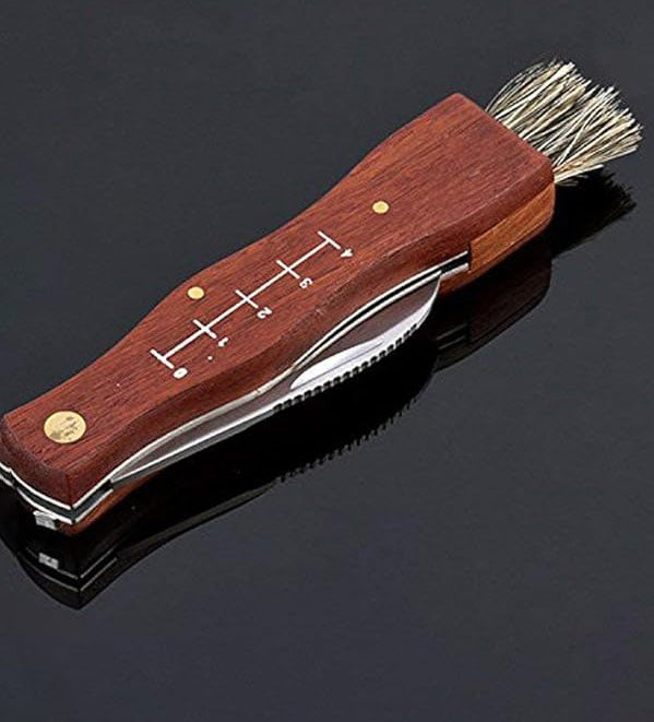 Mushroom Folding Knife Natural Wood Handle knife